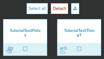 attached-policy-and-thing