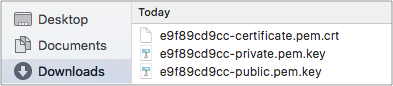downloaded-certificates-iot